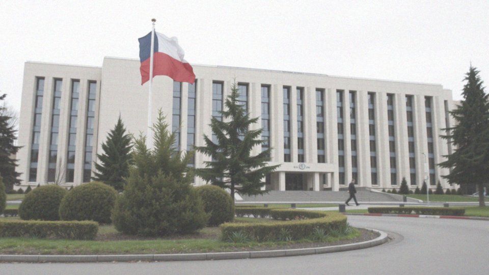 Jakie zadania wykonuje władza wykonawcza w Polsce?