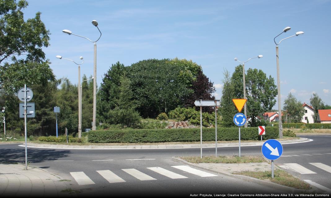 Europejski Dzień Bezpieczeństwa Ruchu Drogowego w Rybniku – promowanie bezpiecznych szlifów na drogach