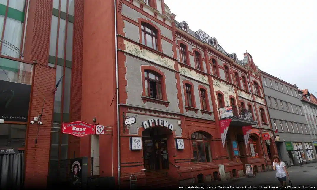 Trzy drzewa w Rybniku otrzymają status pomników przyrody