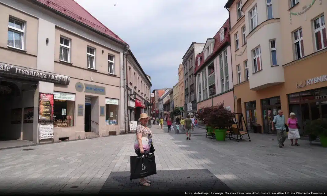 Wsparcie zdrowia psychicznego dla młodzieży w Rybniku